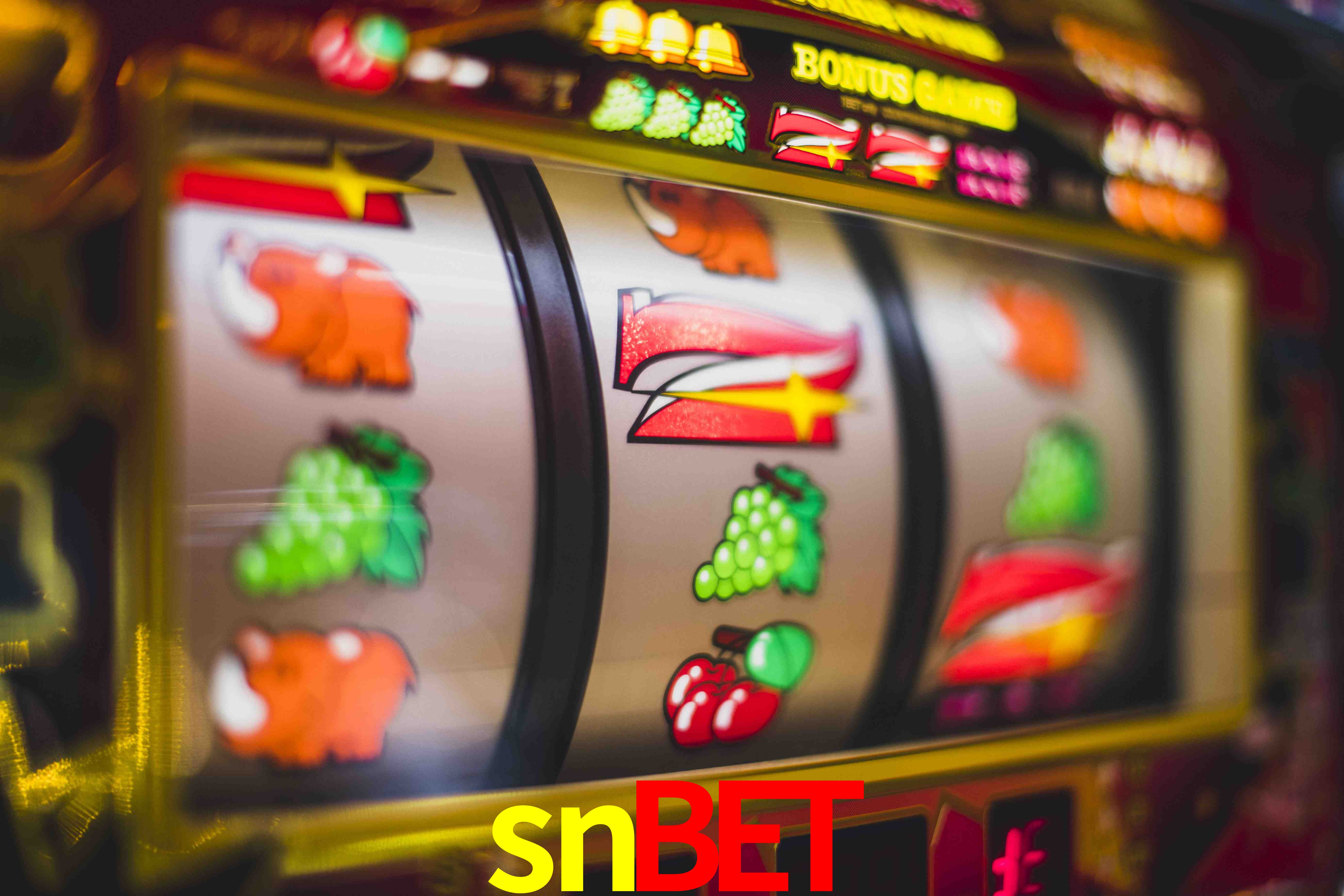 Sports Statistics snbet